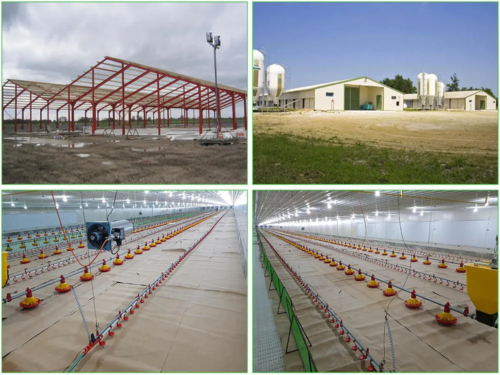 SGS Veehouderij Huis Geprefabriceerd Geautomatiseerd Stalen Frame Kippenkooi 1